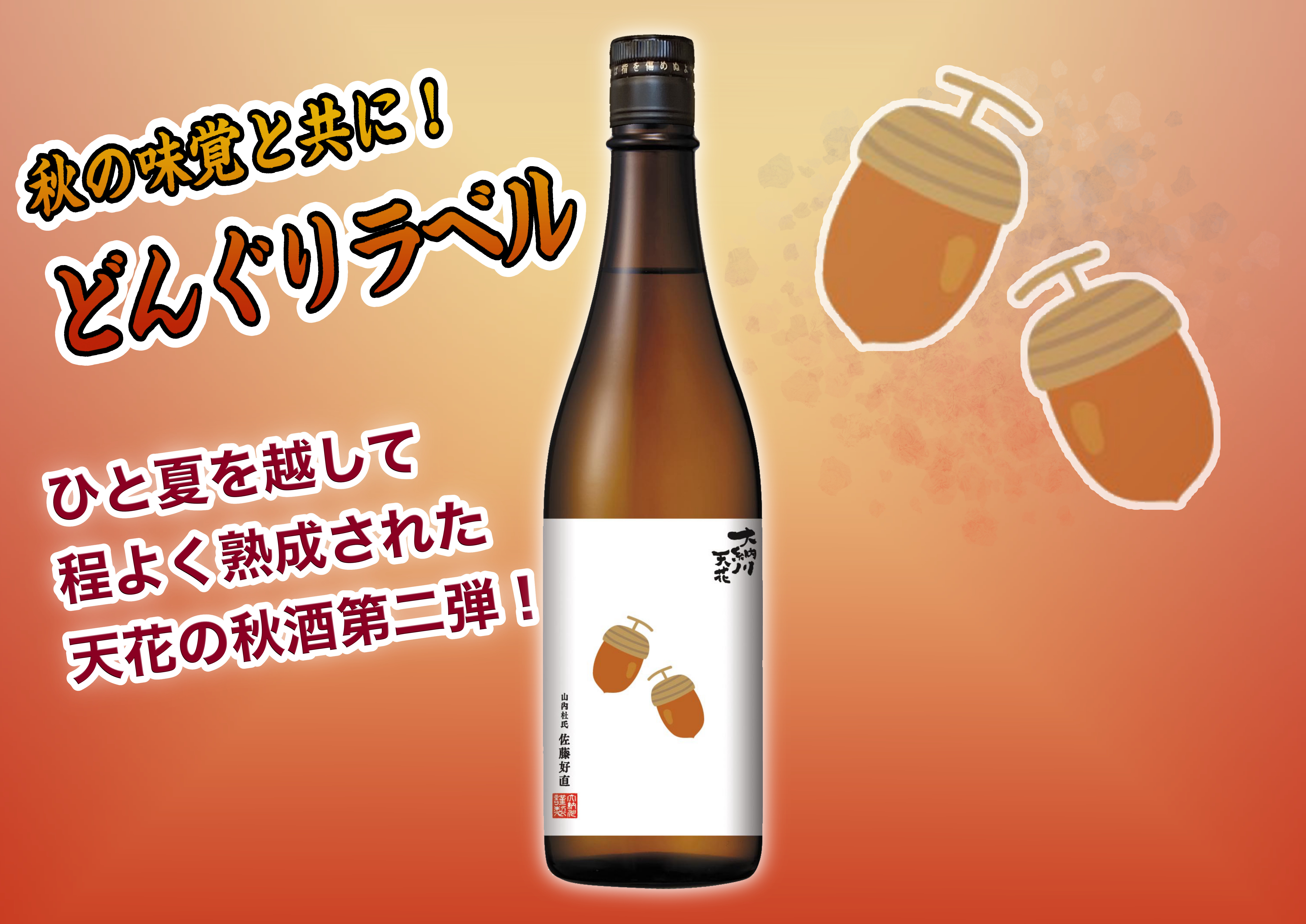 ドングリ発売2024.jpg